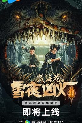 《花儿与少年》主视觉海报